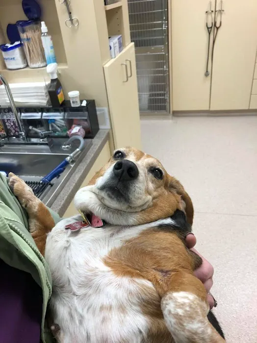 Hope Animal Hospital Picture 1