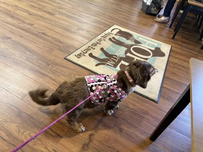 Hope Animal Hospital Picture 4