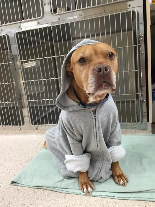 Hope Animal Hospital Picture 9