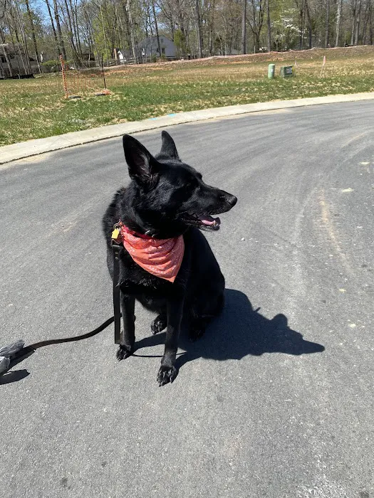Lineberger Veterinary Hospital Picture 9