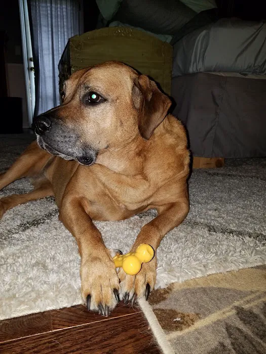 Lineberger Veterinary Hospital Picture 8