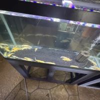 Fort Worth Aquarium ico