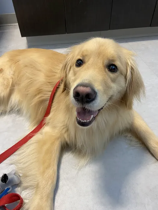 Riverbend Veterinary PetCare Hospital Picture 2