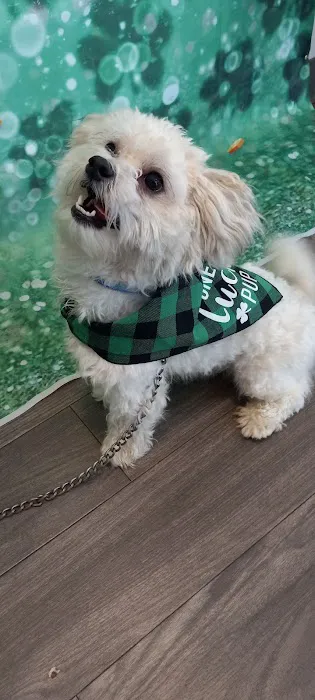 Riverbend Veterinary PetCare Hospital Picture 1
