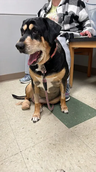 South Point Pet Hospital Picture 3