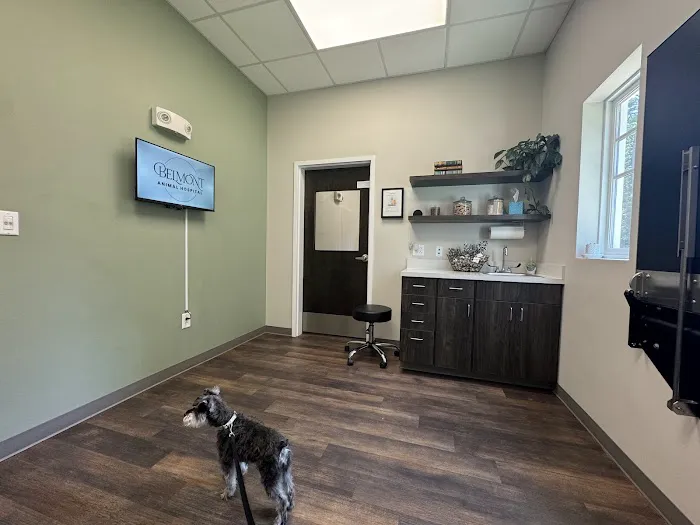 Belmont Animal Hospital Picture 3