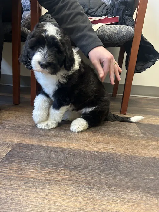 Belmont Animal Hospital Picture 1