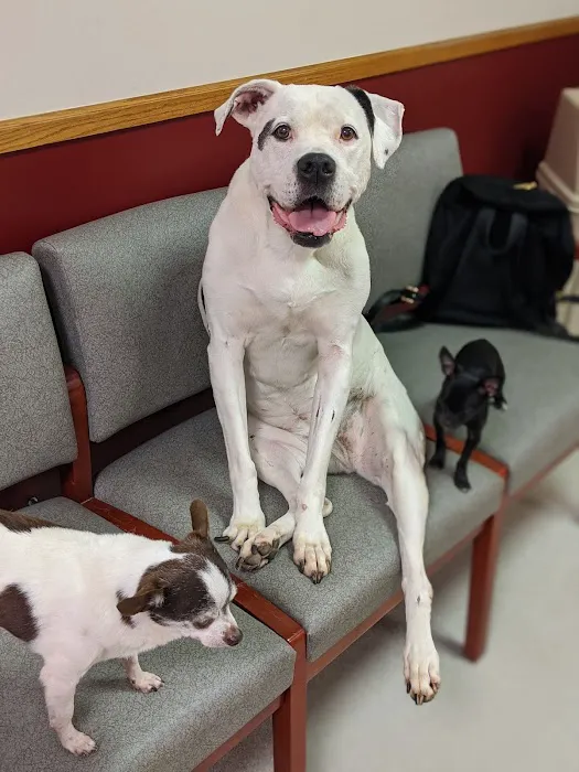 Parker Veterinary Hospital PA Picture 1