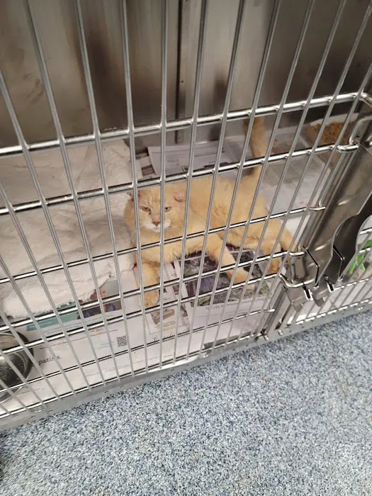 Charlotte-Mecklenburg Animal Services Clinic Picture 8