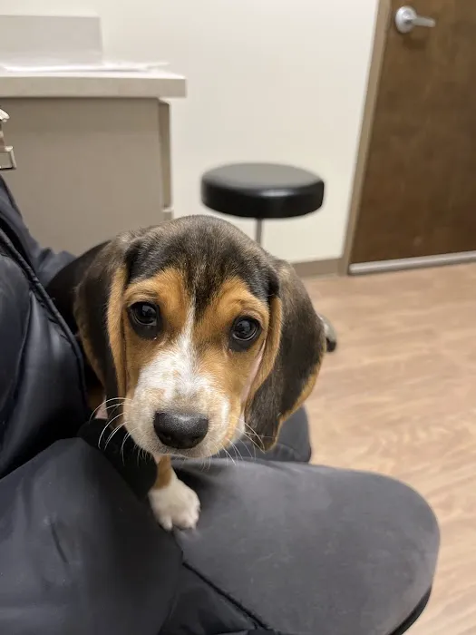New Hope Veterinary Hospital Picture 2