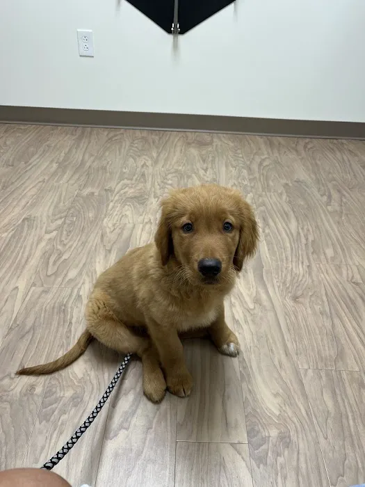 New Hope Veterinary Hospital Picture 3