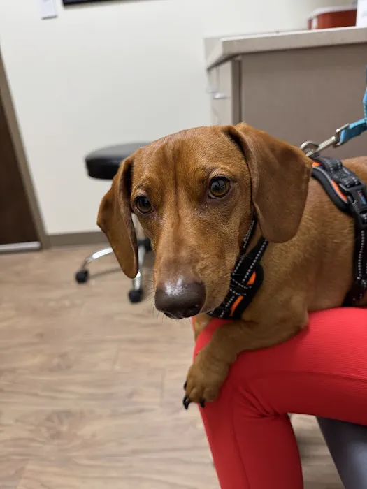 New Hope Veterinary Hospital Picture 7