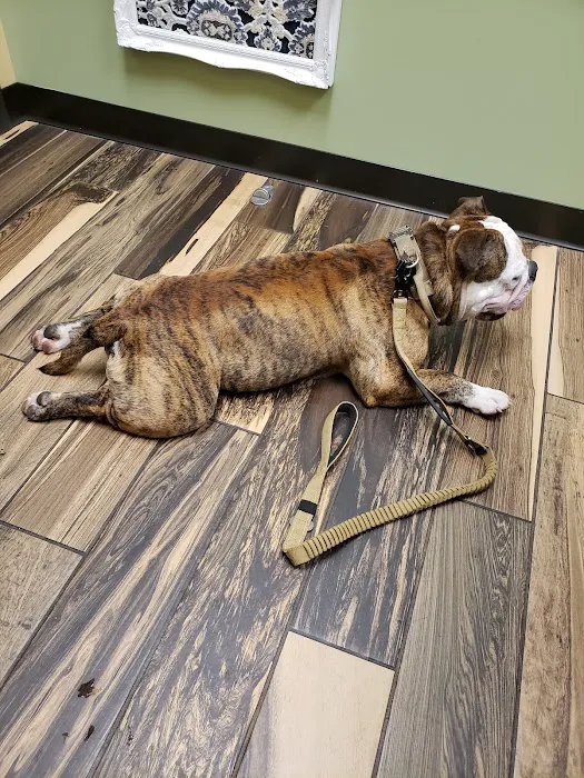 Grace Animal Hospital Picture 4