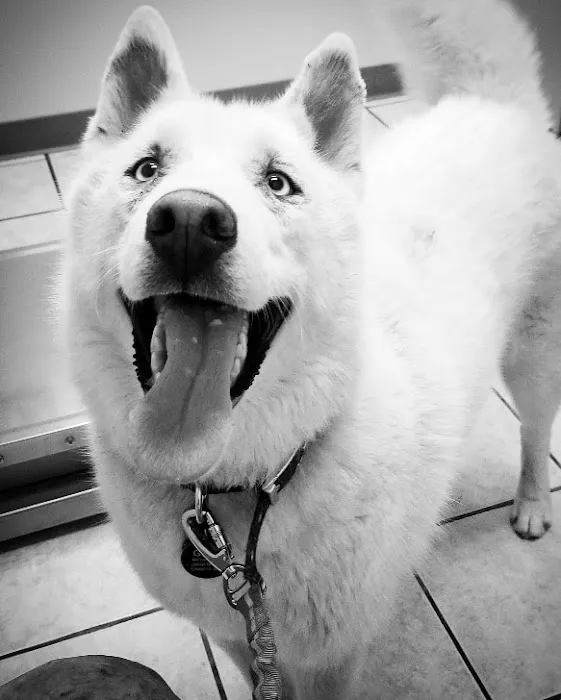 Grace Animal Hospital Picture 3