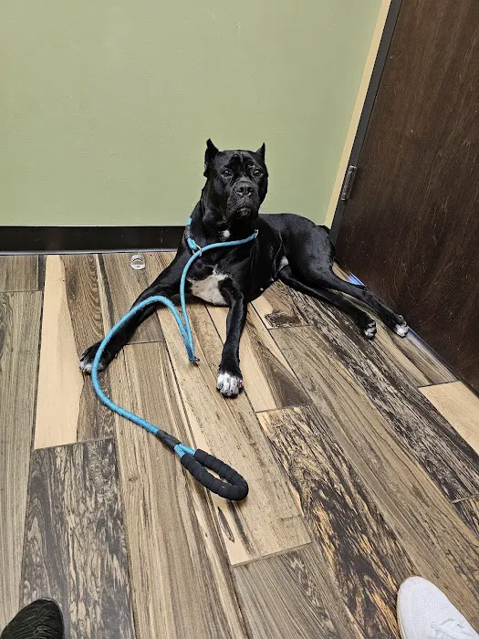 Grace Animal Hospital Picture 9