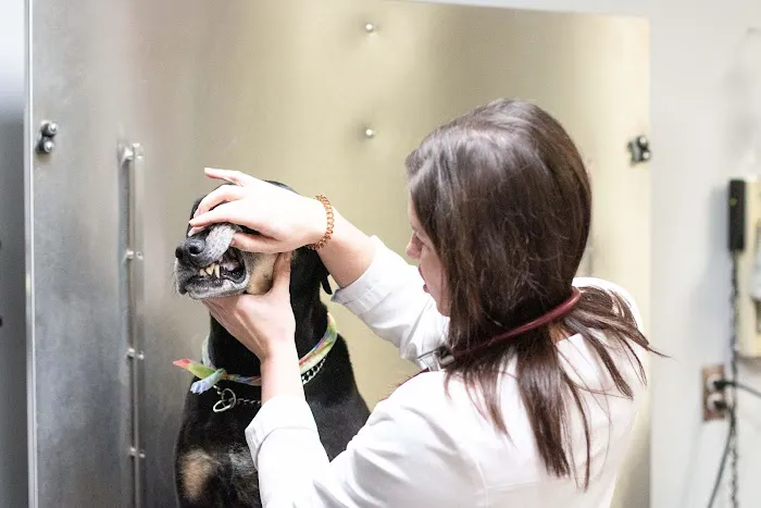 TotalBond Veterinary Hospital at Forestbrook Picture 2