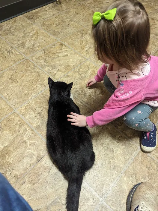 TotalBond Veterinary Hospital at Forestbrook Picture 9