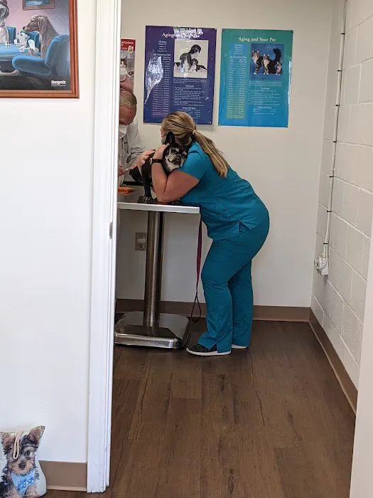 Davis Lake Animal Hospital Picture 10