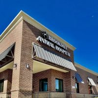 Brookdale Animal Hospital ico
