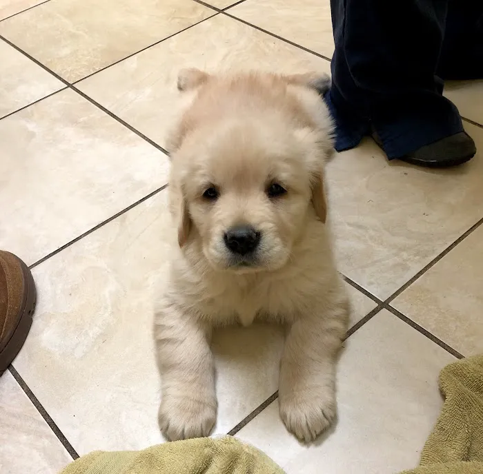 Brookdale Animal Hospital Picture 8