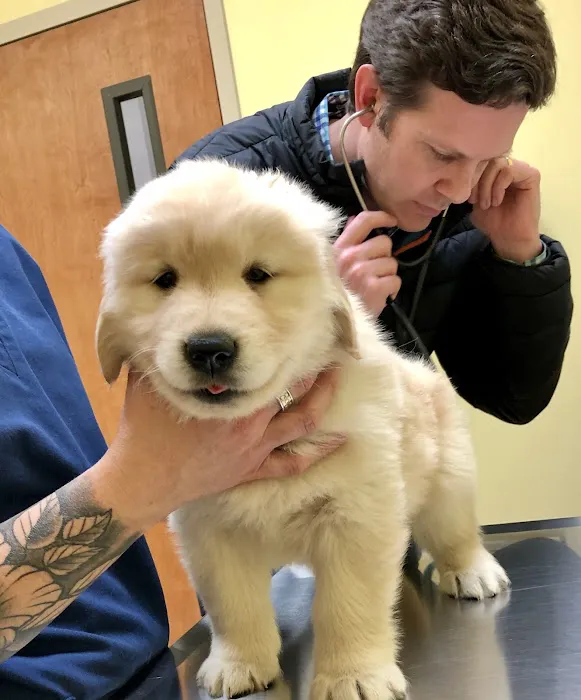 Brookdale Animal Hospital Picture 5