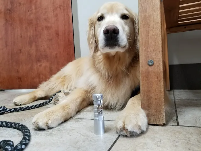 Brown Creek Animal Hospital Picture 5