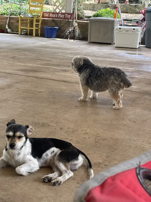 Brown Creek Animal Hospital Picture 8