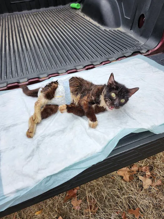 Brown Creek Animal Hospital Picture 7