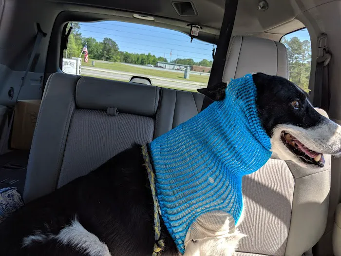Brown Creek Animal Hospital Picture 3