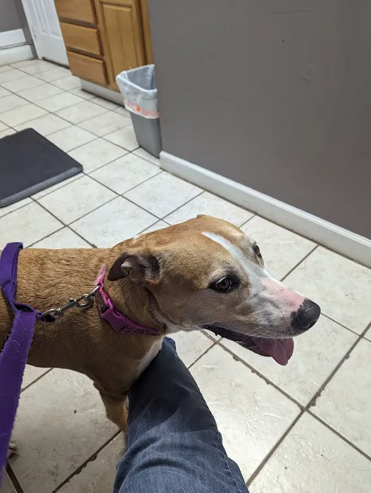 Thompson Animal Hospital Picture 8