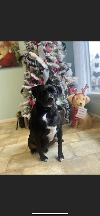 Thompson Animal Hospital Picture 10