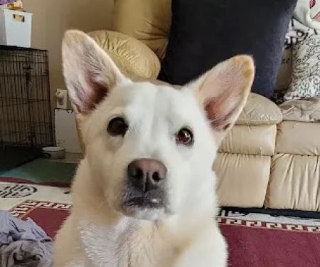 Monroe Low Cost Spay/Neuter Clinic