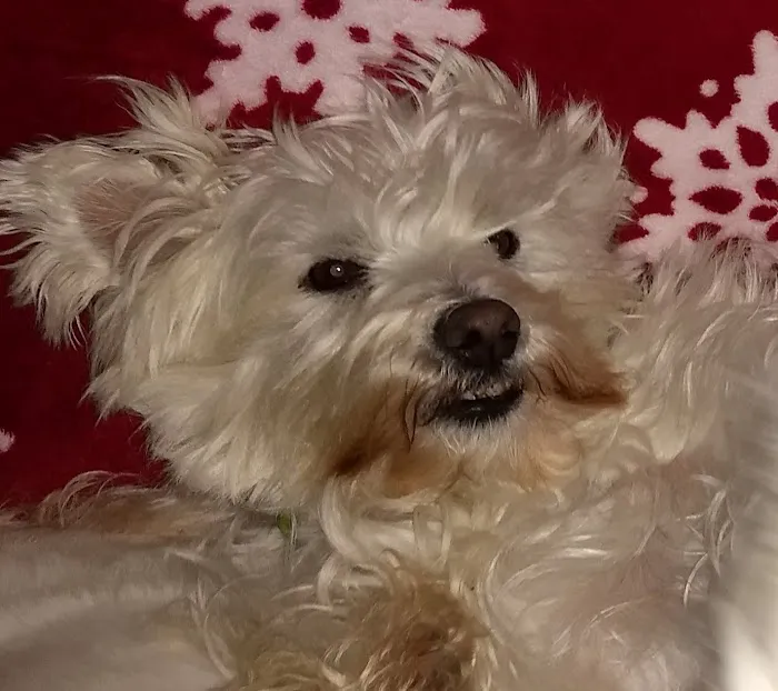 Monroe Animal Hospital Picture 6