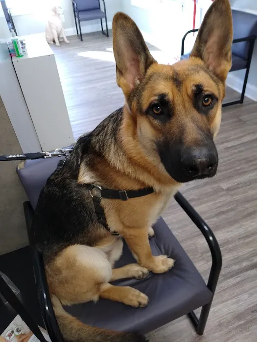 Monroe Animal Hospital Picture 4
