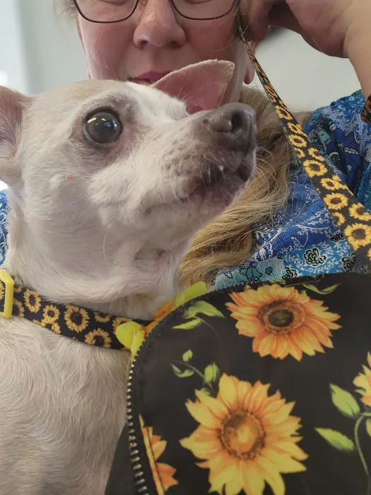 Monroe Animal Hospital Picture 1