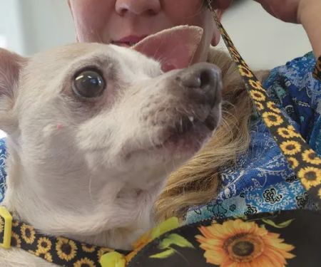 Monroe Animal Hospital