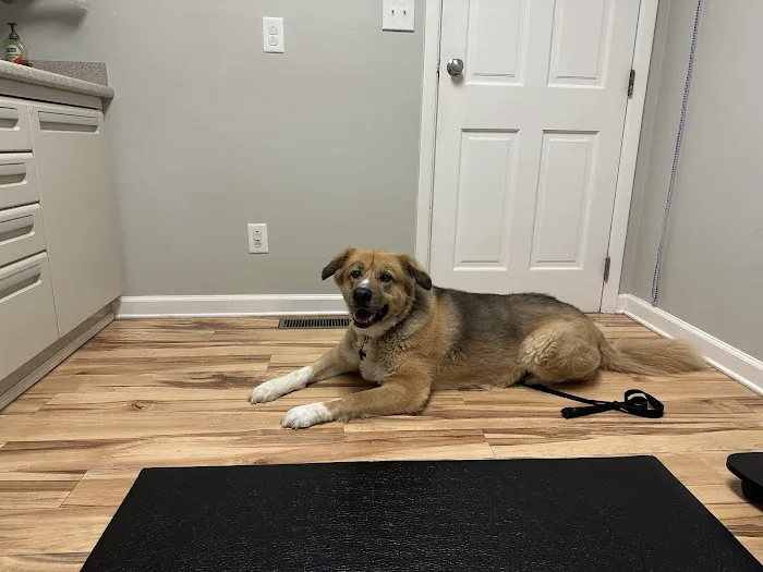 Monroe Animal Hospital Picture 10