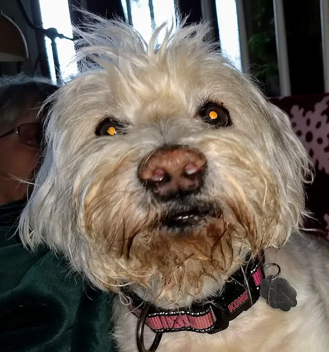 Monroe Animal Hospital Picture 9