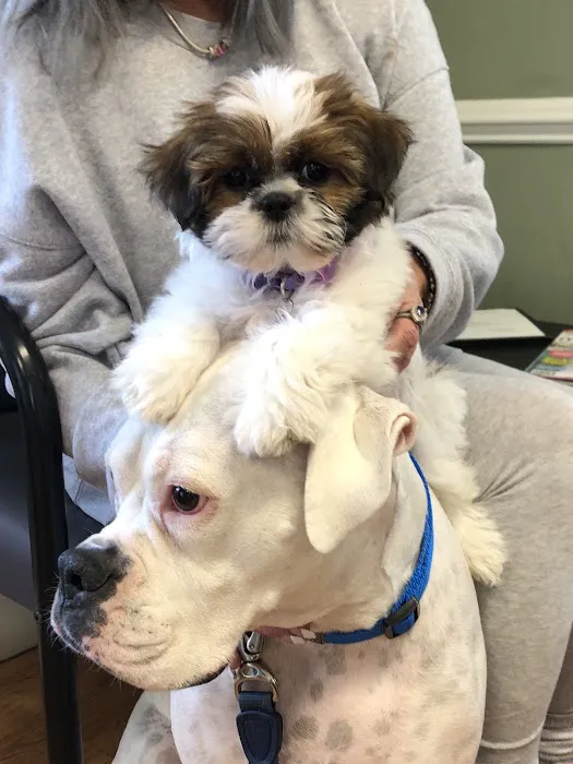Monroe Animal Hospital Picture 2