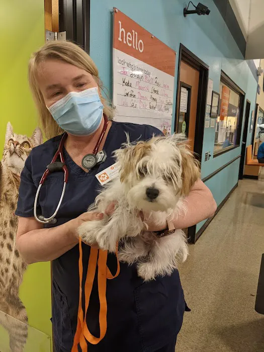Banfield Pet Hospital Picture 4