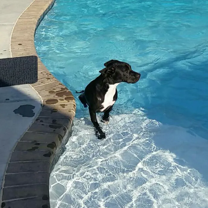 Banfield Pet Hospital Picture 5