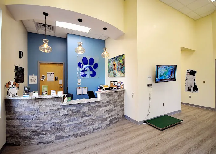 Lake Park Animal Clinic Picture 4
