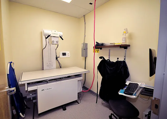 Lake Park Animal Clinic Picture 3