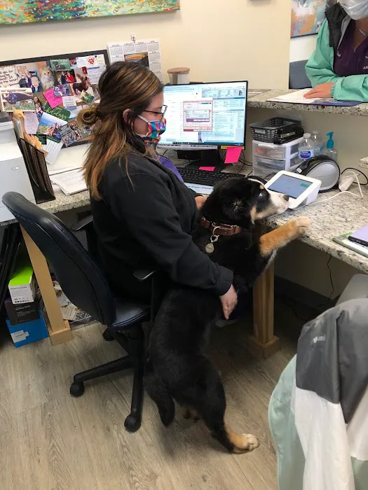 Lake Park Animal Clinic Picture 9