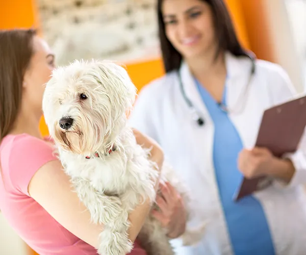 Lake Park Animal Clinic Picture 10