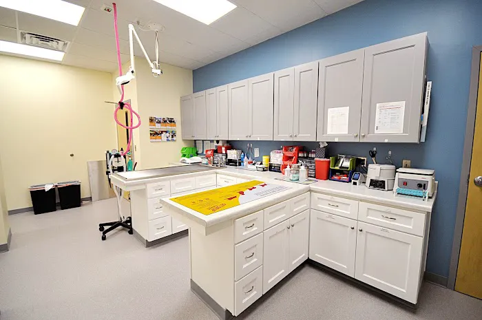Lake Park Animal Clinic Picture 1
