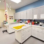 Lake Park Animal Clinic