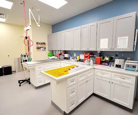 Lake Park Animal Clinic