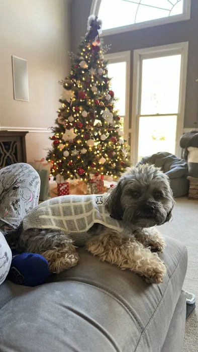 Mercy Animal Hospital Picture 3
