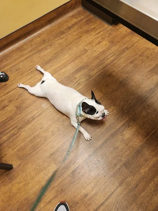 Mercy Animal Hospital Picture 2